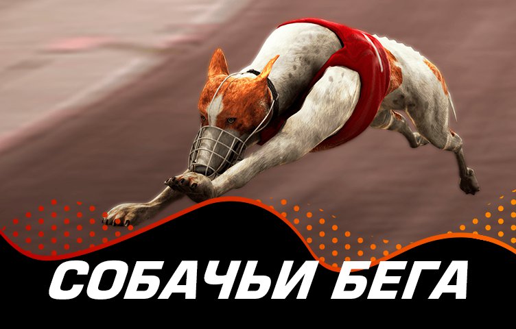 Virtual Greyhounds